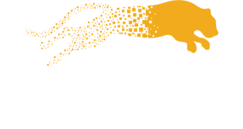 Snabbt